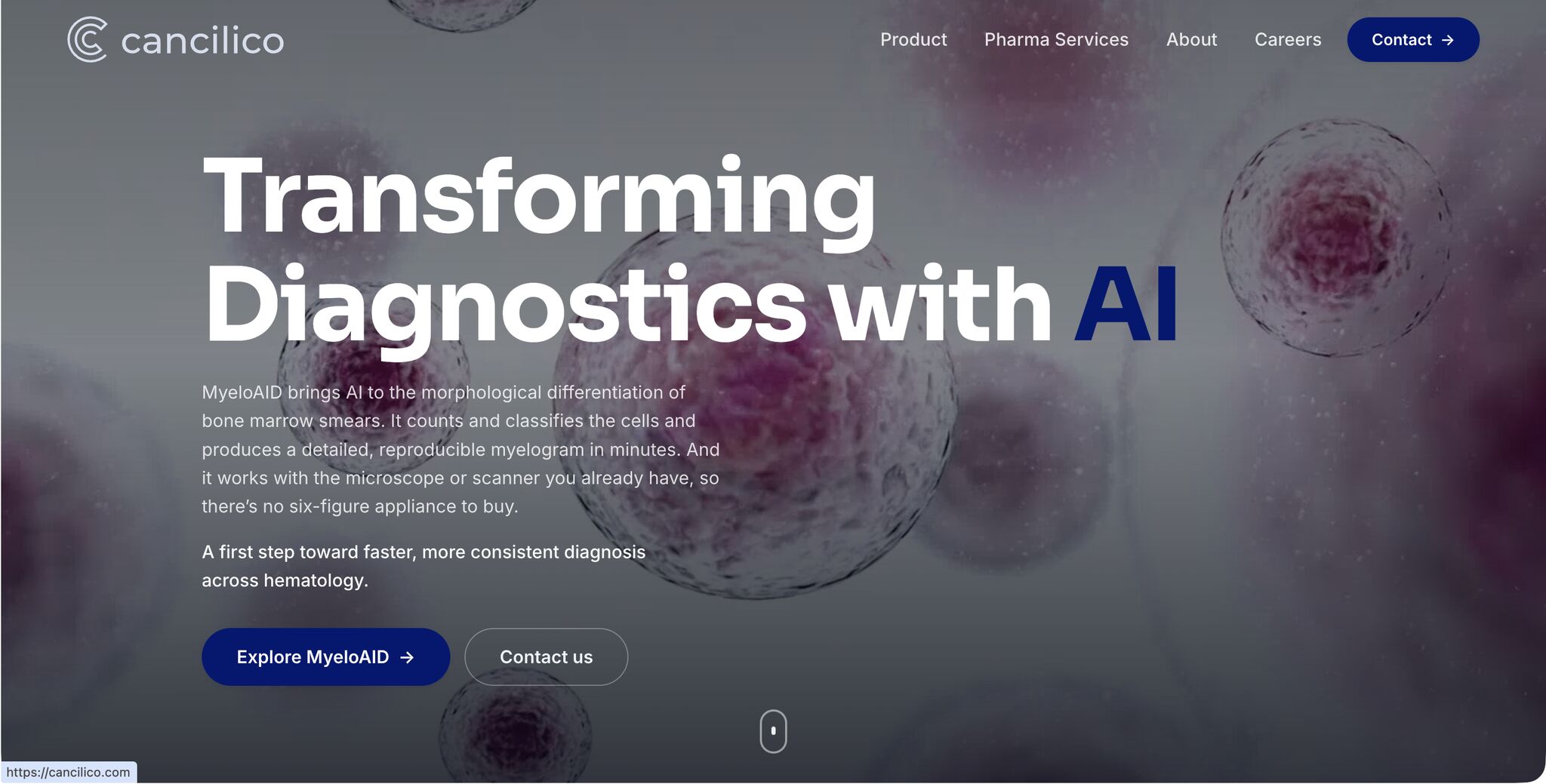 snapshot of Cancilico website